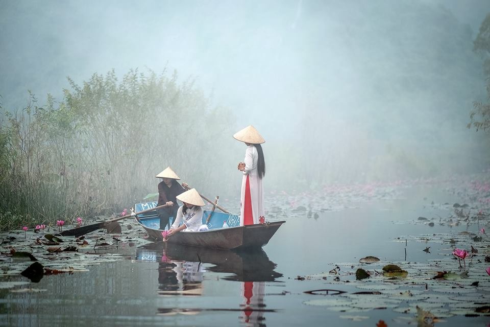 Tháng 10, 11 về: Đi qua những mùa hoa thân thương! - 6 Cánh đồng hoa súng đẹp lung linh ở suối Yến. Ảnh: Nguyễn Đình Thành.