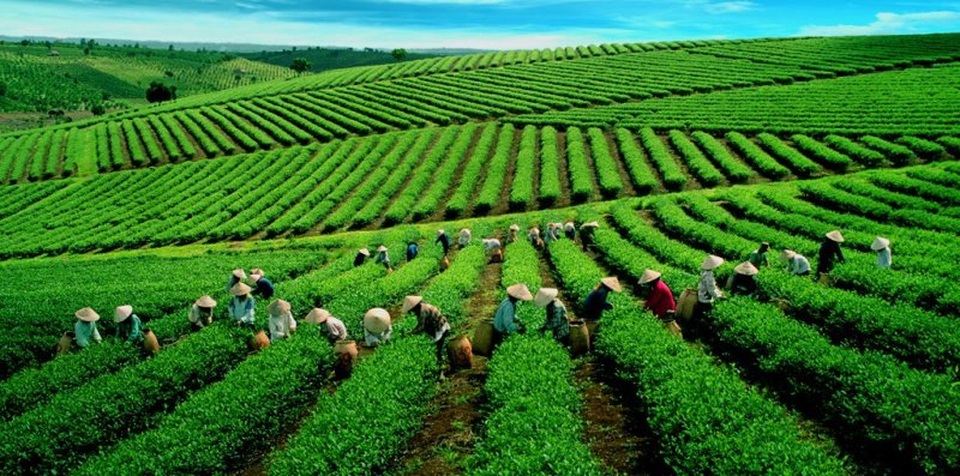 Lâm Đồng: “Thiên đường” của những thắng cảnh thần tiên - 6 Lâm Đồng: “Thiên đường” của những thắng cảnh thần tiên - 6