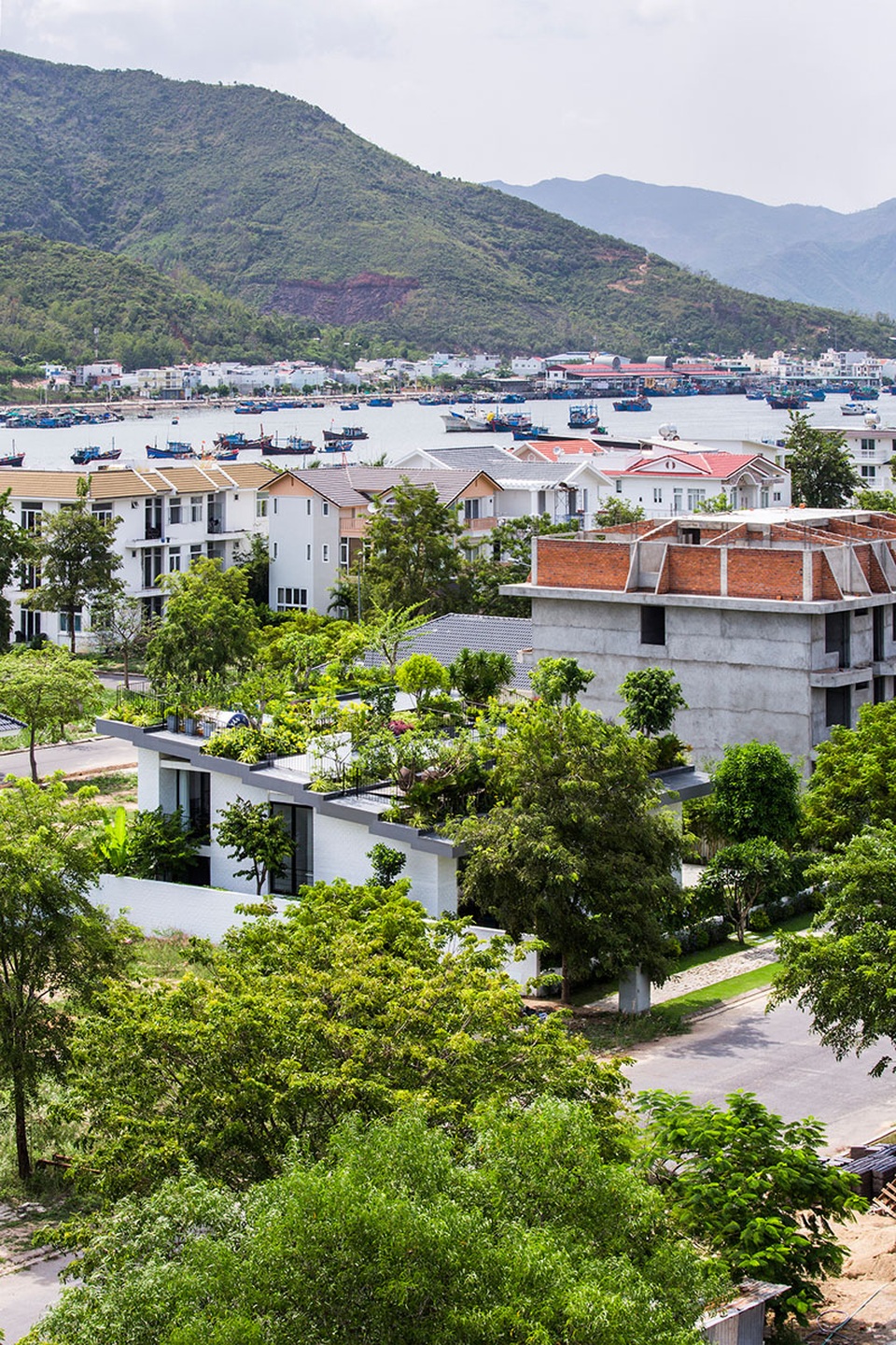 Chiêm ngưỡng ngôi nhà với “vườn cây trên mái” độc đáo ở Nha Trang - 7 Chiêm ngưỡng ngôi nhà với “vườn cây trên mái” độc đáo ở Nha Trang - 7