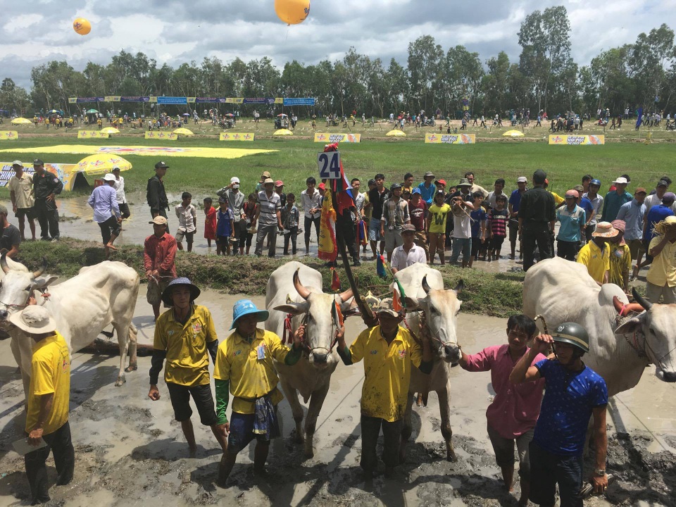 Vui lễ hội đua bò cùng đồng bào Khmer vùng Bảy Núi - 7 Vui lễ hội đua bò cùng đồng bào Khmer vùng Bảy Núi - 7