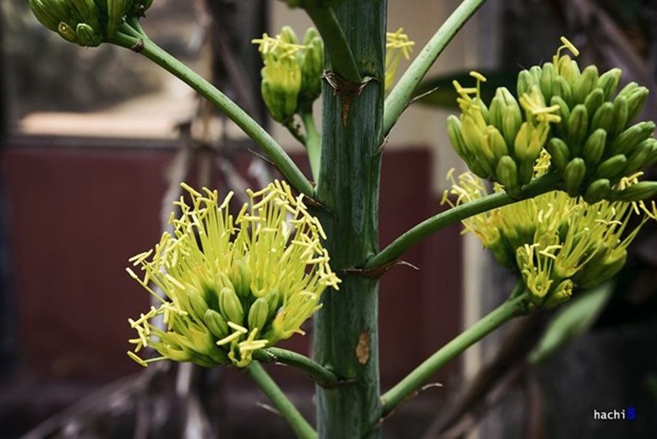 Thư giãn cuối tuần với những điểm du lịch gần Hà Nội - 8