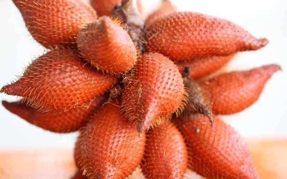 Khám phá An Giang mùa nước nổi - 8 Khám phá An Giang mùa nước nổi - 8
