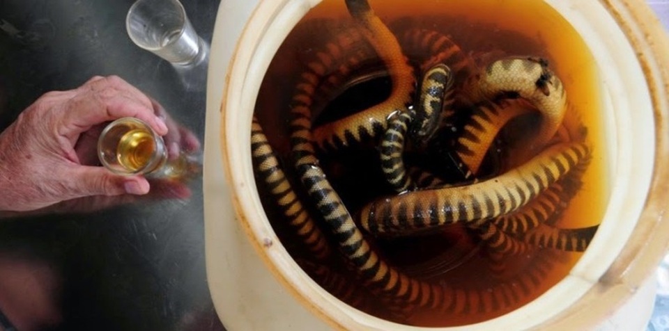 Món ngon nhớ mãi ở Quảng Bình - 8 Món ngon nhớ mãi ở Quảng Bình - 8