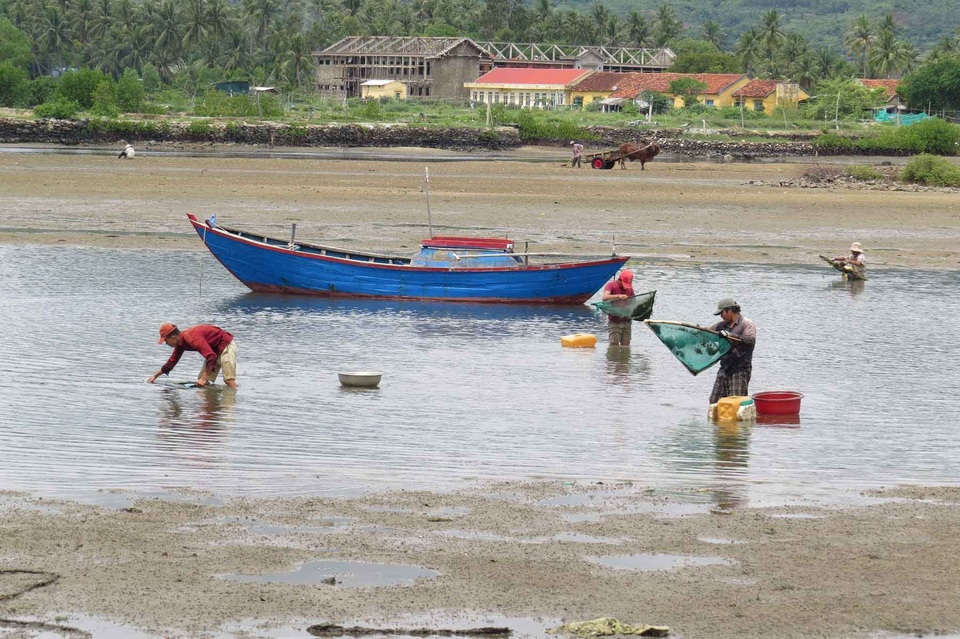 Người mưu sinh cố sức vớt cá mú kiếm tiền trang trải cuộc sống. Ảnh: Mạnh Hoài Nam