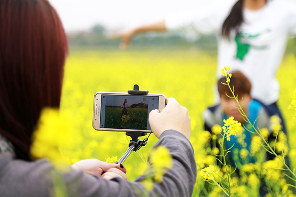 Thả hồn phiêu bồng trên cánh đồng hoa cải ven đô - 9 Thả hồn phiêu bồng trên cánh đồng hoa cải ven đô - 9