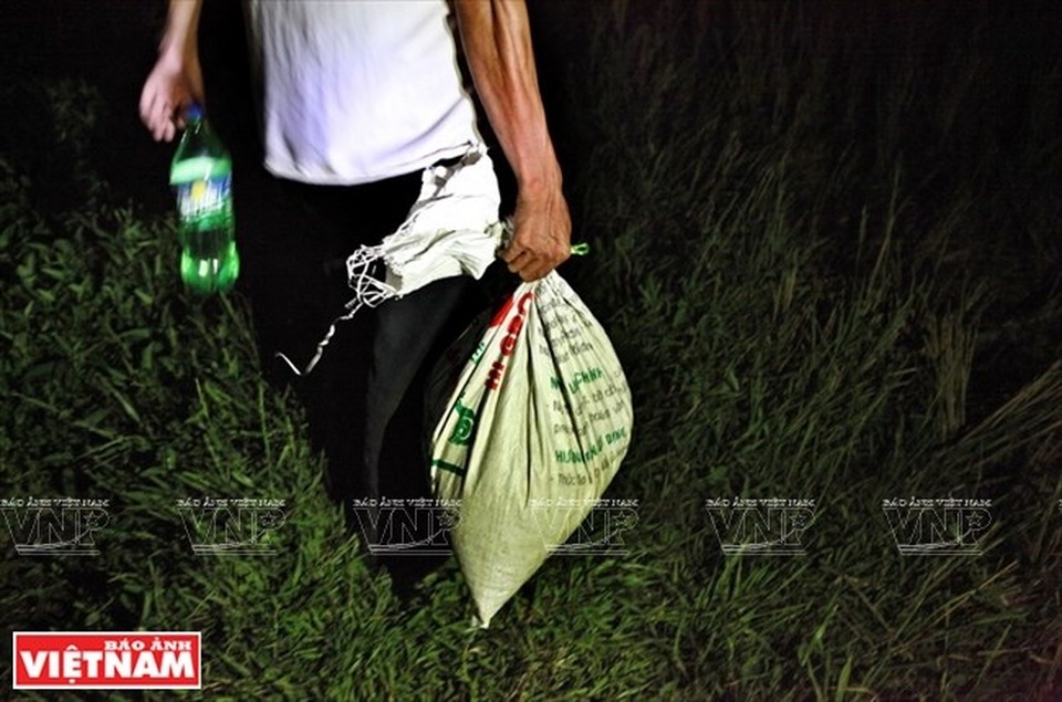 Cả làng đổ xô đi làm giàu nhờ nghề "săn" châu chấu kỳ lạ - 10