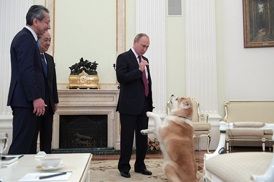 Tổng thống Nga Putin kể chuyện “mối tình đầu” - 3
Tổng thống Putin mang theo chú chó cưng giống Akita của Nhật Bản đến cuộc phỏng vấn. (Ảnh: Reuters)