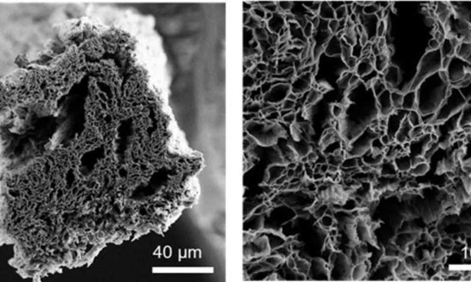 Sử dụng lò vi sóng để sản xuất graphene chất lượng cao - 1 Sử dụng lò vi sóng để sản xuất graphene chất lượng cao - 1