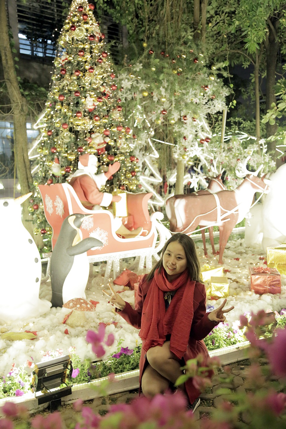 Ngỡ ngàng vườn Giáng sinh lung linh trong trường Đại học - 9