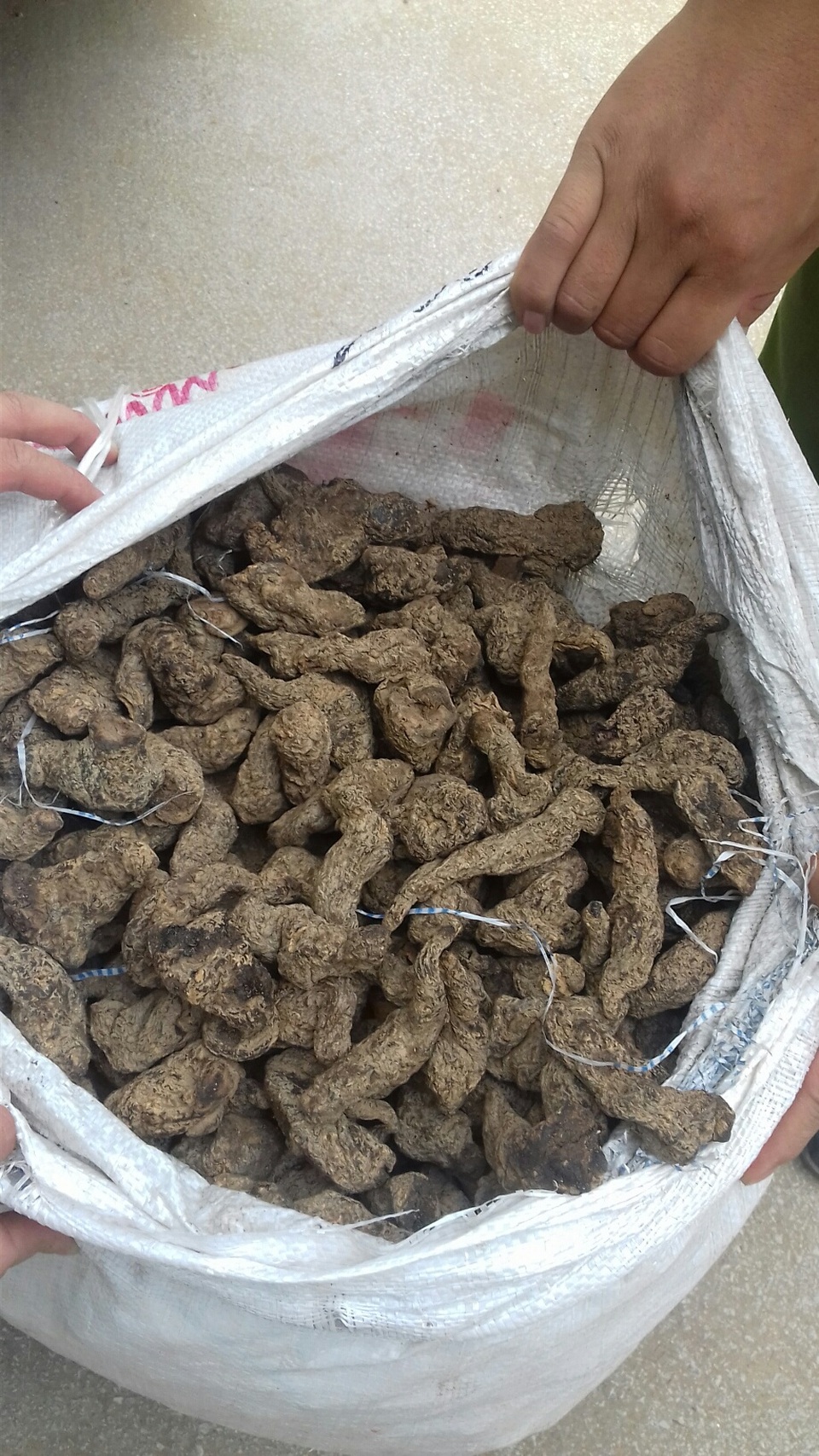 Bắt 2 xe ô tô vận chuyển hơn 1,5 tấn thuốc bắc nhập lậu - 2 Bắt 2 xe ô tô vận chuyển hơn 1,5 tấn thuốc bắc nhập lậu - 2