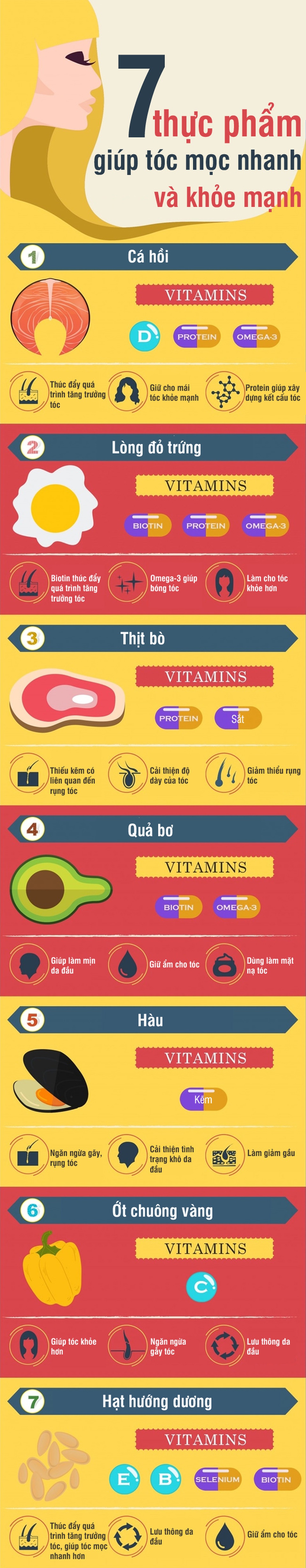 Infographics: 7 thực phẩm giúp tóc mọc nhanh và khỏe - 1 Infographics: 7 thực phẩm giúp tóc mọc nhanh và khỏe - 1