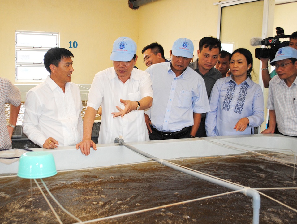 Người mặn mòi với con tôm giống miền nắng gió - 1
Ông Nguyễn Hoàng Anh, Giám đốc Công ty TNHH Đầu tư Nam Miền Trung.