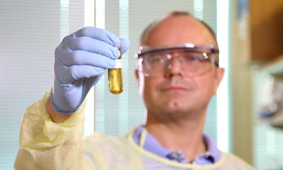 
Nhà nghiên cứu Roman Mezencev giữ một mẫu nanohydrogel cung cấp siARN đến các tế bào ung thư và thử nghiệm thành công in vivo ở chuột trong phòng thí nghiệm công nghệ Georgia John McDonald.
