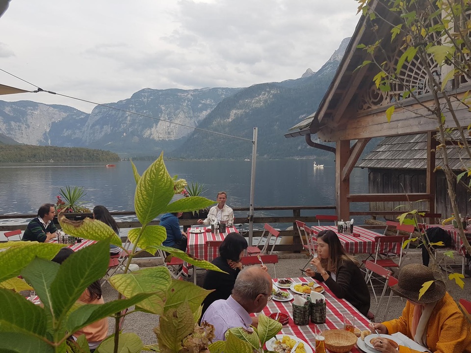 Vì sao ngôi làng Hallstatt lại nổi tiếng nhất ở nước Áo? - 11
Thiên nga trắng dạo chơi trên mặt nước hồ Hallstätter See - hình ảnh không quá khó bắt gặp khi tới đây.