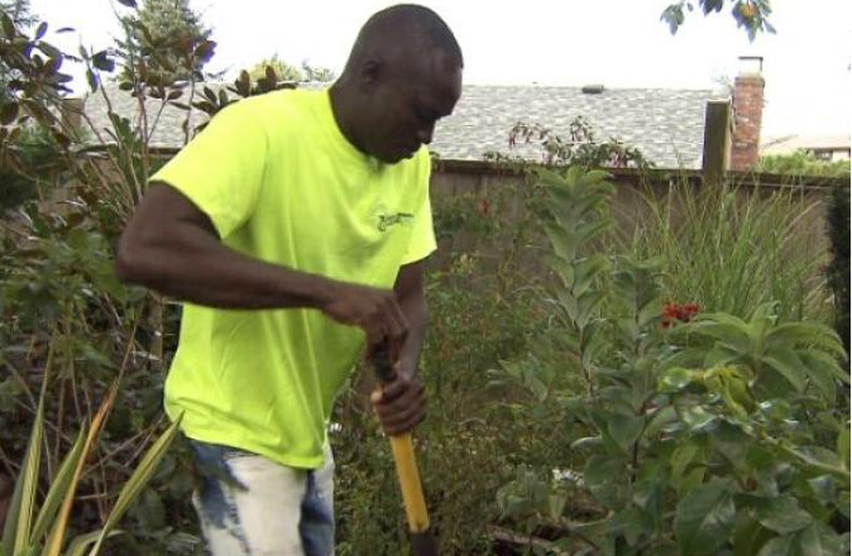 
Eric Manu trở lại làm vườn ở Canada. (Ảnh: CTV)
