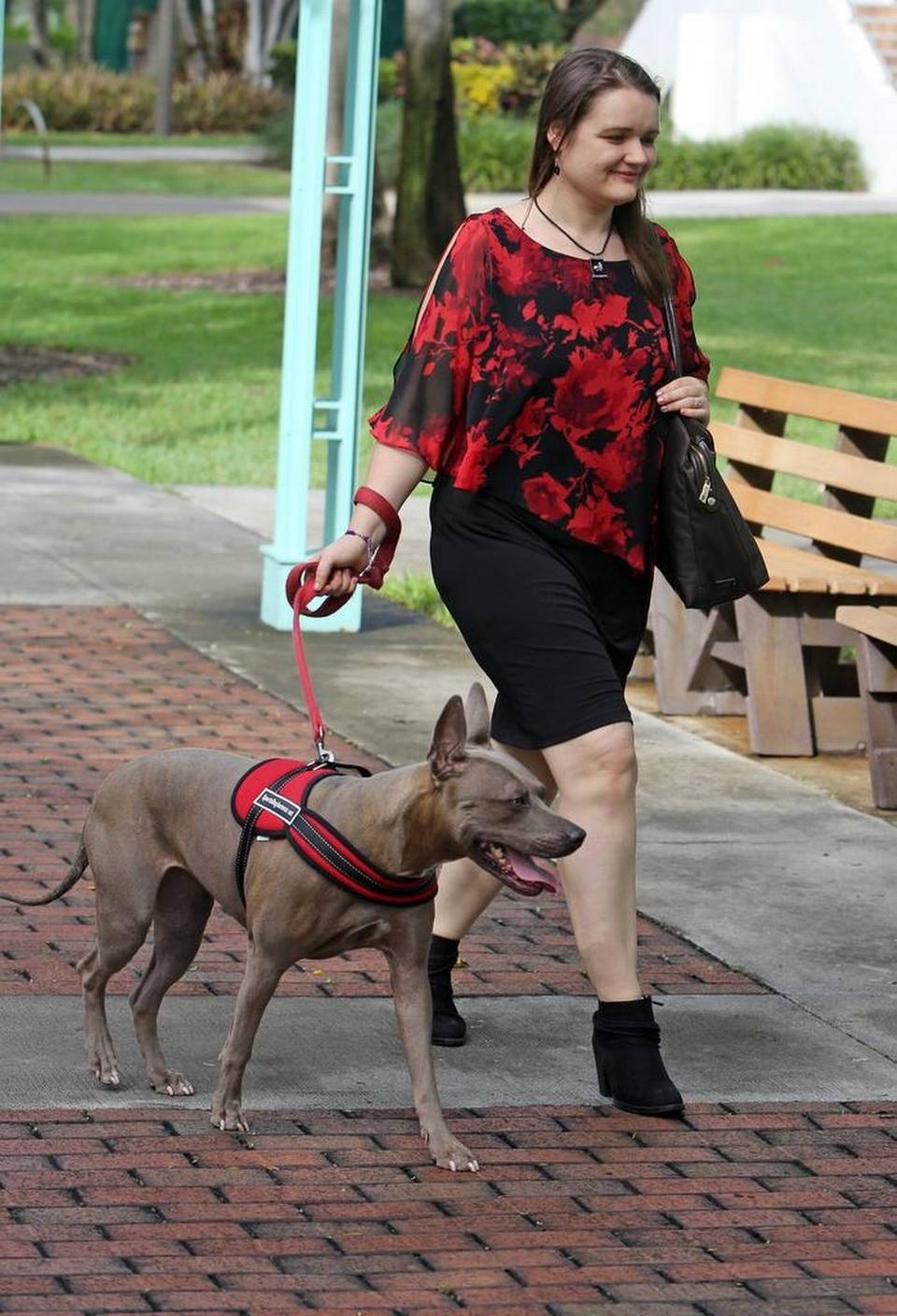Bị động kinh vẫn nỗ lực học lấy bằng Cử nhân - 2 Xenia Boiko và chó Bella. (Ảnh: The Miami Herald)