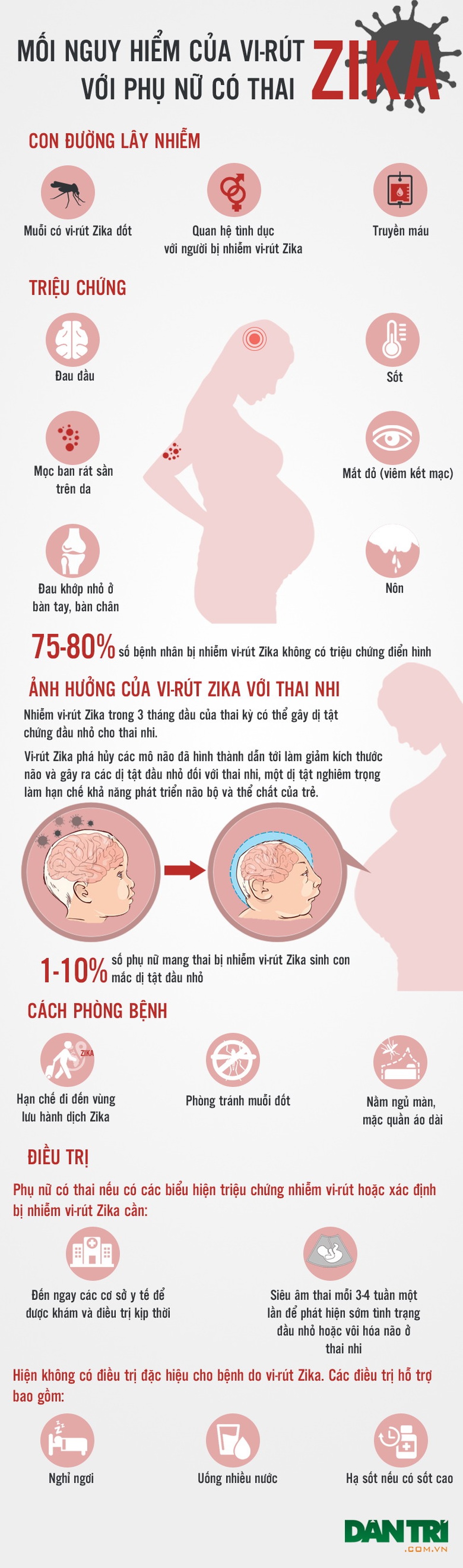 Infographics: Toàn cảnh về khả năng vi rút Zika "tấn công" thai phụ - 1 Infographics: Toàn cảnh về khả năng vi rút Zika "tấn công" thai phụ - 1