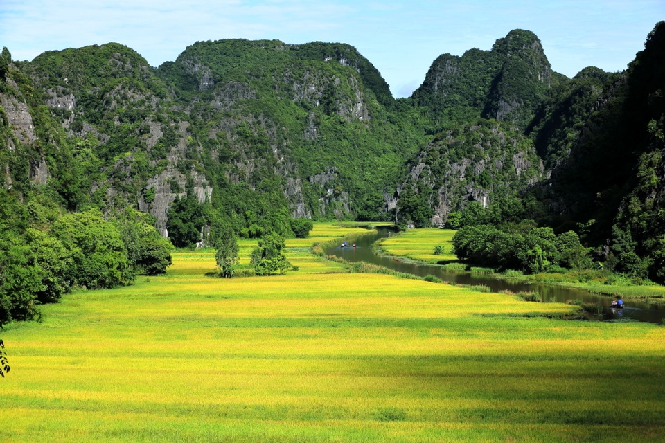 Đẹp ngỡ ngàng Tam Cốc mùa lúa chín - 11
Qua hang 1 là cách đồng lúa chín hiện ra trước mắt