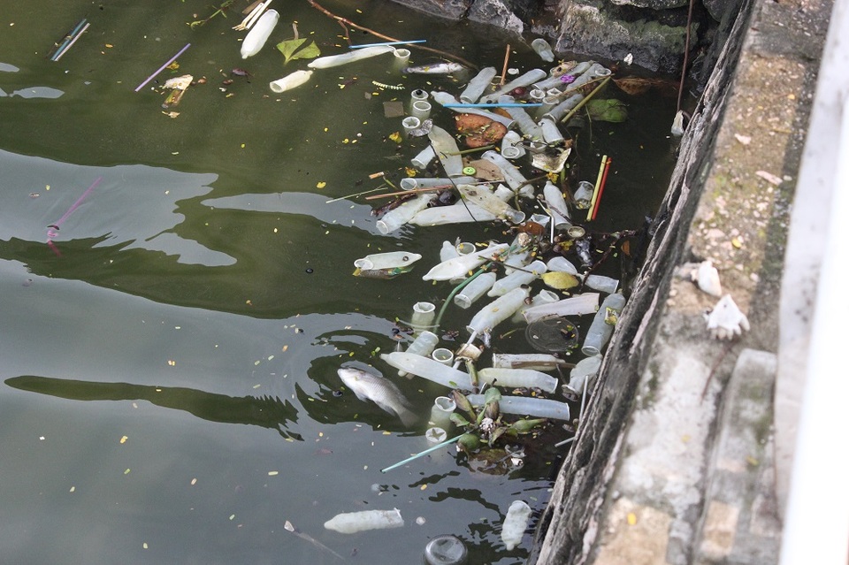 Hồ Tây tràn ngập... bao cao su sau cơn mưa lớn - 1