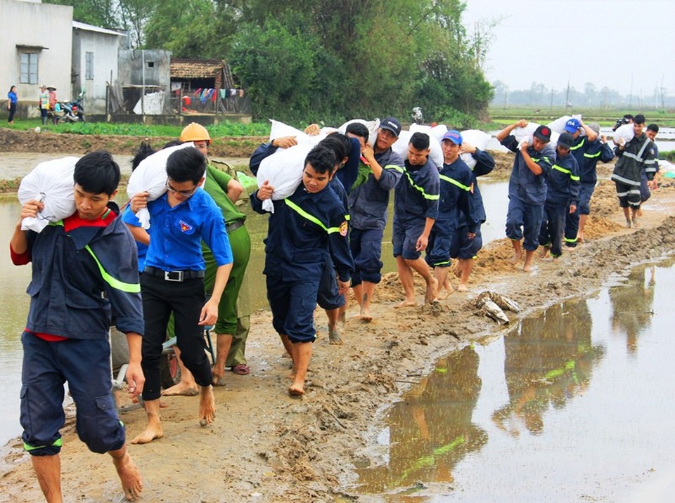 Bình Định: Thanh niên xắn quần, lội ruộng giúp dân khắc phục hậu quả lũ - 3 Hàng trăm ĐVTN các cơ sở đoàn trên địa bàn tỉnh Bình Định tham gia giúp dân khắc phục hậu quả sau lũ lụt liên tiếp tại huyện Tuy Phước.