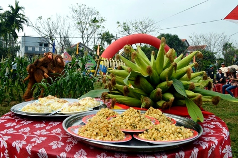 Lễ hội bắp nếp bị hủy phần hội do không… có bắp - 2 Ngày hội bắp nếp Cẩm Nam 2016