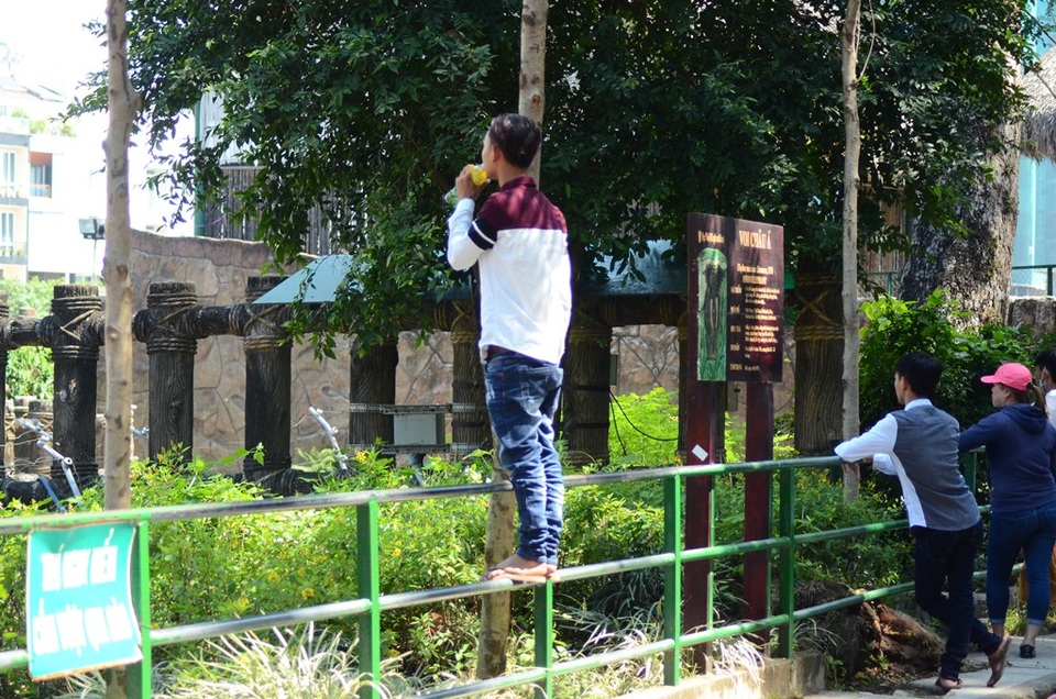 Đến Thảo Cầm Viên để… chọc phá thú (?!) - 1 Mặc dù có bảng cảnh báo nhưng vị khách này vẫn muốn có.. sự khác biệt.
