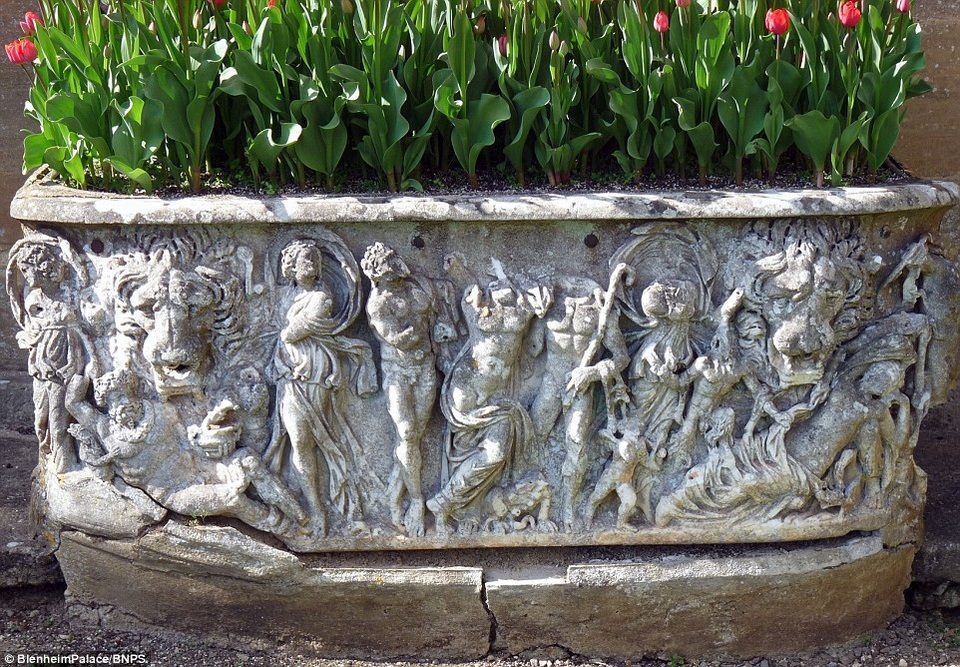 Quách cổ 1.800 năm tuổi trị giá 8 tỷ đồng bị đem làm… chậu hoa - 1 Chiếc quách cổ có từ thời La Mã đã bị dùng làm chậu trồng hoa trong sân vườn cung điện Blenheim, hạt Oxfordshire, Anh suốt 100 năm qua.