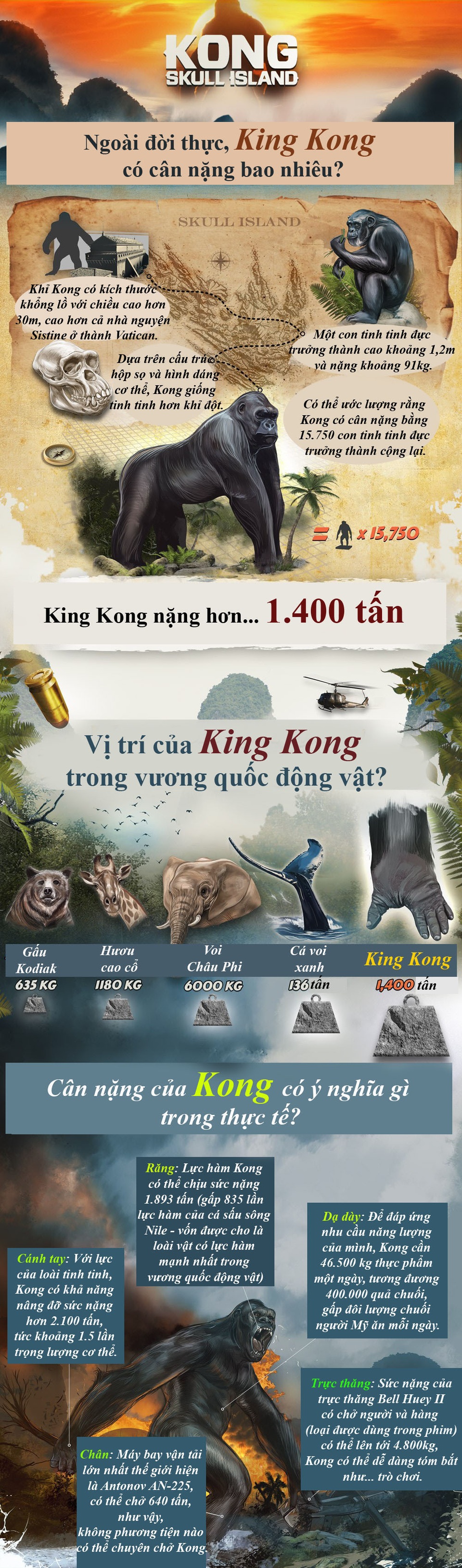 400.000 trái chuối cho King Kong ăn trong một ngày? - 1 400.000 trái chuối cho King Kong ăn trong một ngày? - 1
