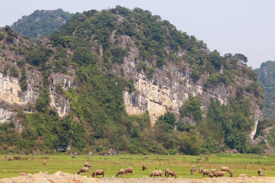 Chiêm ngưỡng vẻ đẹp lung linh của “dải ngân hà trong lòng núi” - 3 Động Thiên Hà nằm trong lòng núi Tướng, cao chừng 200m, xưa kia là nơi tiền tiêu bảo vệ kinh thành Hoa Lư.