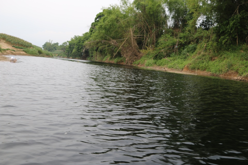 Cá tự nhiên chết nổi trắng khe Đá Mài - 1 Khe Đá Mài, nơi cá chết bất thường từ vài ngày qua