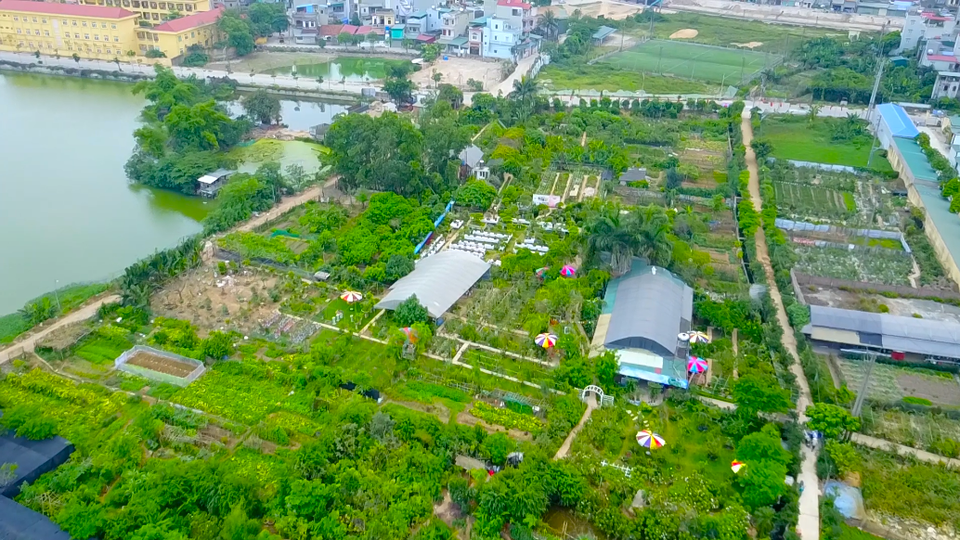 
Ông Đào Mạnh Hùng (Sn 1961, Thanh Trì, Hà Nội) nổi tiếng trong giới chơi hoa hồng cả nước nhờ bộ sưu tập hoa “đồ sộ” với trên 20 nghìn gốc hội tụ tới 300 loại hoa hồng quý hiếm đến từ nhiều nước trên thế giới như: Anh, Pháp, Ý, Bulgari…

