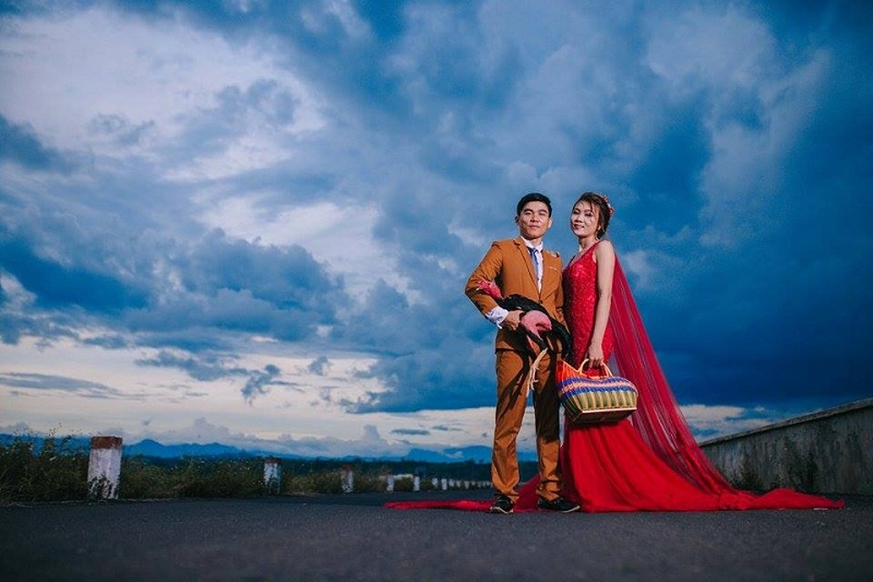 Chú rể mê gà chọi, ảnh cưới cũng không thể thiếu "vật cưng" - 9 Chú rể mê gà chọi, ảnh cưới cũng không thể thiếu "vật cưng" - 9