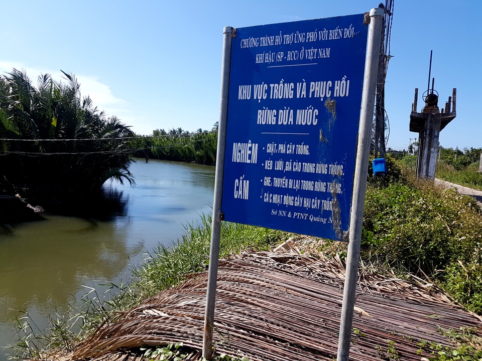 Ông Nguyễn Sự lên tiếng vụ “băm nát” rừng dừa Bảy Mẫu - 1 Biển báo bảo vệ rừng dừa nước tại Cẩm Thanh