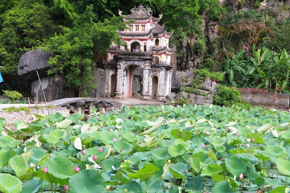 Chùa Bích Động được xây dựng từ năm 1428, thời đầu nhà Hậu Lê. Chùa nằm trên dãy núi đã vôi Trường Yên, xã Ninh Hải, huyện Hoa Lư, tỉnh Ninh Bình. Hiện nay, chùa là di tích lịch sử văn hóa nằm trong Quần thể danh thắng Tràng An được UNESCO công nhận là Di sản văn hóa và thiên nhiên thế giới.