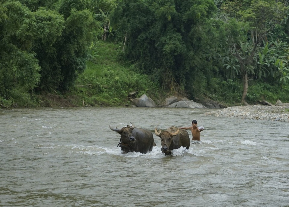Hình ảnh người dân "đánh cược mạng sống" khi mưa lũ cuốn trôi cầu tạm - 2 Hình ảnh người dân "đánh cược mạng sống" khi mưa lũ cuốn trôi cầu tạm - 2