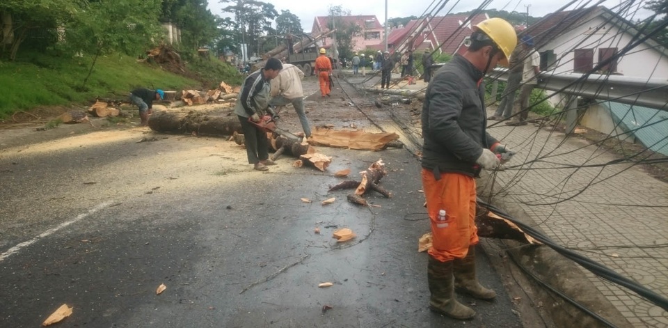 Cây xanh gãy đổ ngổn ngang do mưa bão - 7 Lực lượng chức năng khắc phục sự cố