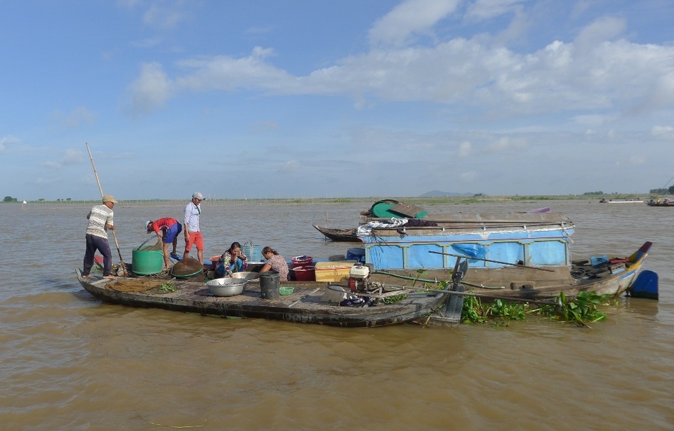 Chộn rộn chợ cá đồng... mùa nước nổi - 3 Các ghe mua cá đã chờ sẵn...