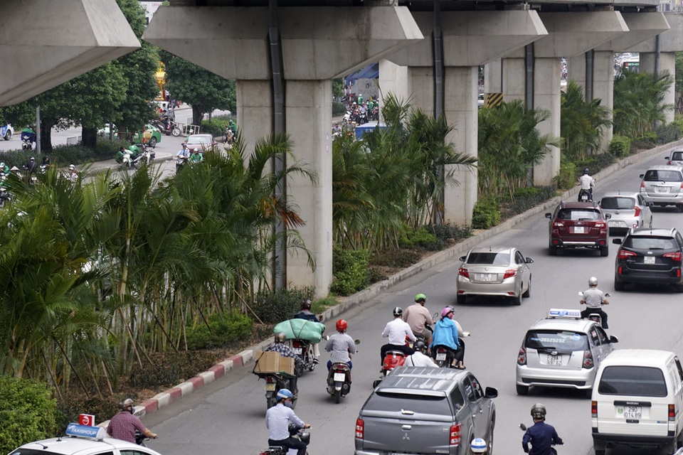 
Hàng cây cau cảnh mới được trồng các đây vài ngày, xen giữa các cột trụ dưới gầm đường sắt trên cao Cát Linh - Hà Đông.
