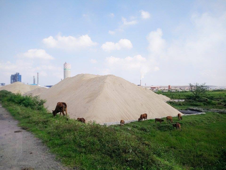 Ninh Bình “nhức nhối” vi phạm pháp luật đê điều! - 1 Một bãi cát khổng lồ sát đê sông Đáy vi phạm nghiêm trọng như chưa bị xử lý dẹp bỏ.