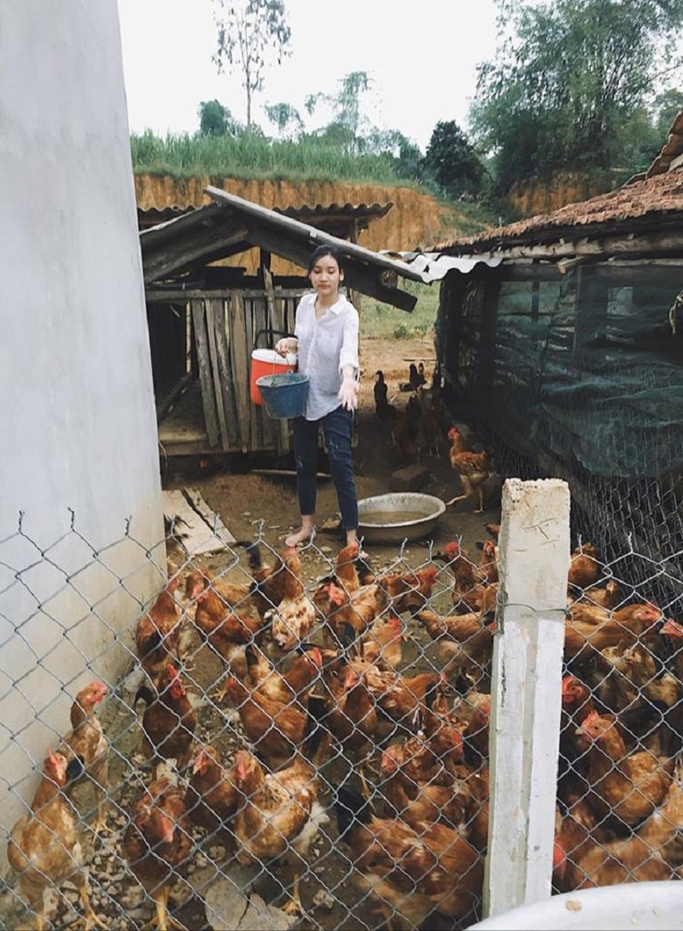 9x Nghệ An bất ngờ nổi tiếng sau loạt ảnh... “hot girl chăn gà” - 2 Cô gái cứ Nghệ kể, bức ảnh này được Huệ chụp vào dịp cuối tuần, lâu ngày về nhà thăm gia đình, quần áo chưa kịp thay do đi quãng đường dài về nhà nên tiện thể giúp bố mẹ việc nhà.