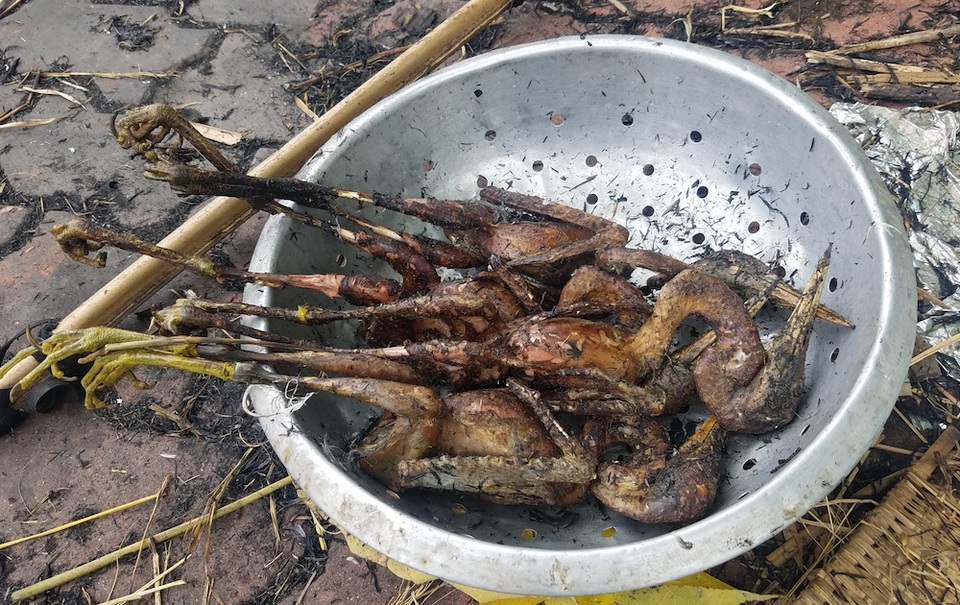 Chợ cóc chuyên bán chim trời "độc, lạ" ven Hà Nội - 4
chỉ sau vài phút những chú chim này đã sạch lông và được thui rơm vàng ươm.