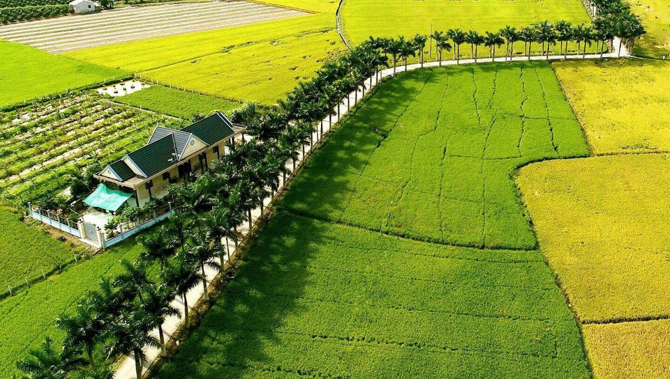 Lạc bước trên “con đường hạnh phúc” đẹp mê mẩn ở Long An - 1 “Con đường hạnh phúc” này mới được bê tông hóa rộng 3m, dài hơn 2km.