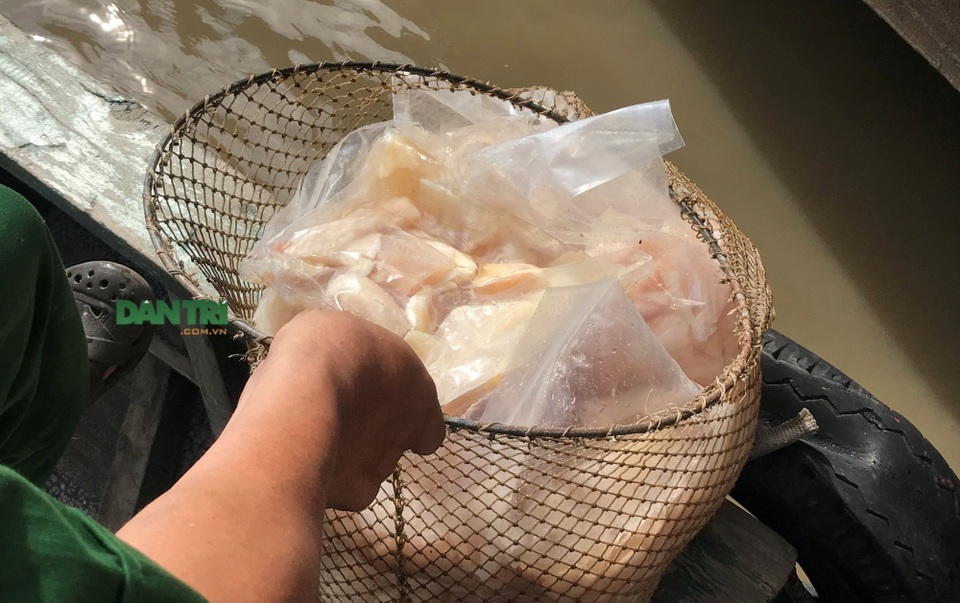 Hiện trường vụ tàu container nước ngoài bị tông trên sông Đồng Nai - 9 Hiện trường vụ tàu container nước ngoài bị tông trên sông Đồng Nai - 9