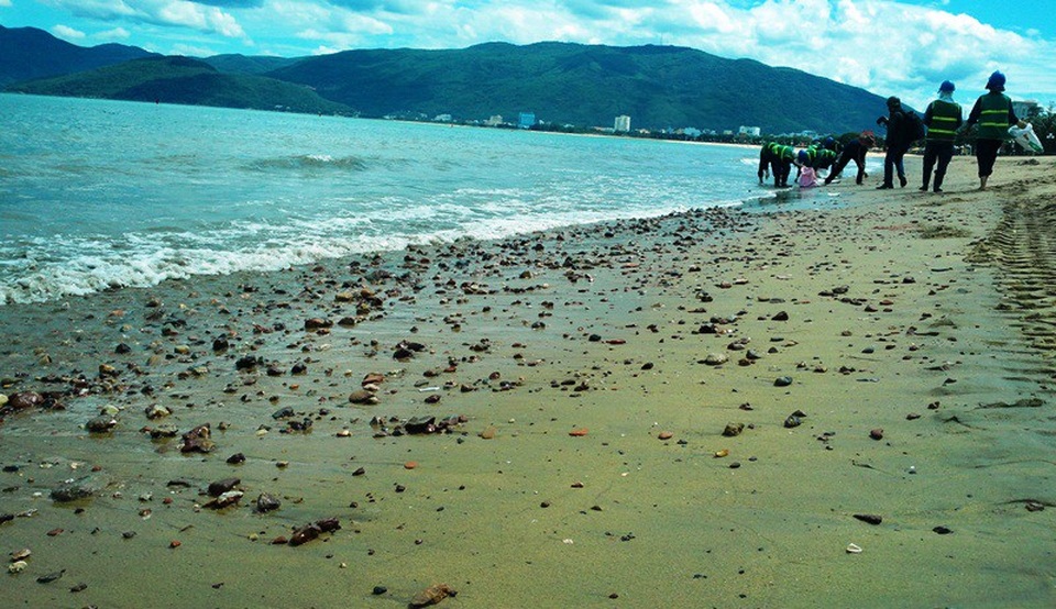 Nhận chìm bùn cát xuống biển Quy Nhơn: Lo ngại ảnh hưởng môi trường du lịch - 1 Trước đây, biển Quy Nhơn xuất hiện xà bần vì dự án lấn biển khiến chính quyền địa phương phải huy động nhiều nhân công để dọn sạch bãi biển.