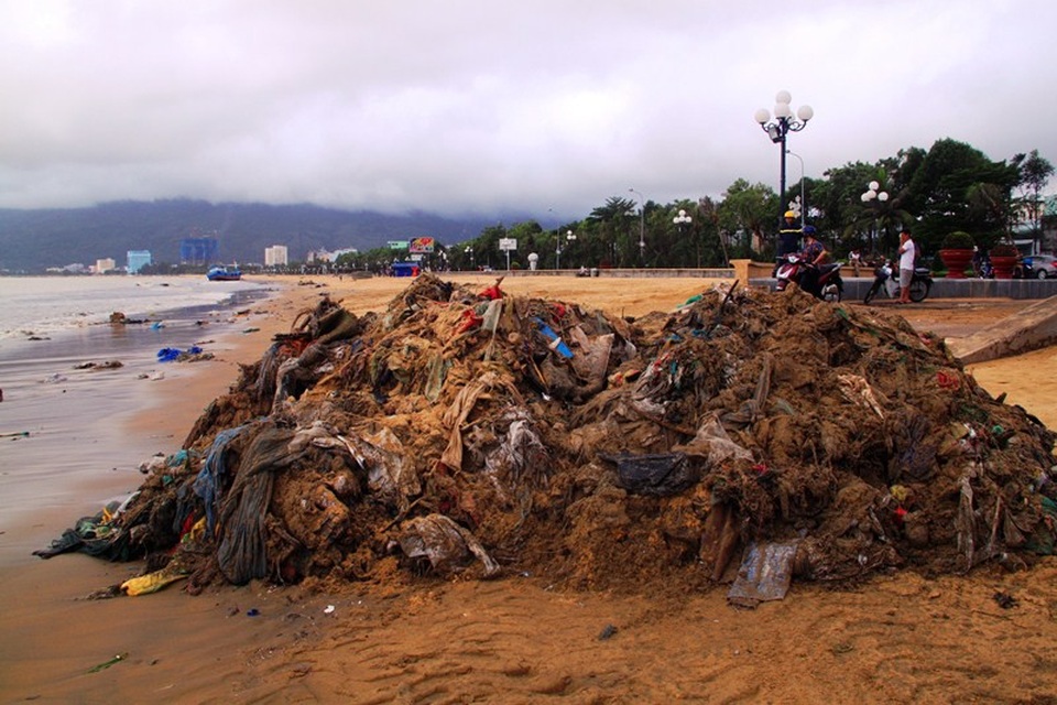 Hàng tấn rác thải bèo, bùn đen trôi dạt tấp vào bãi biển Quy Nhơn ảnh hưởng đến môi trường và du lịch.