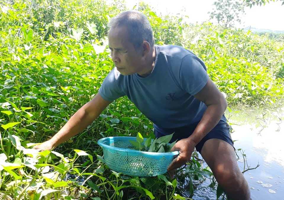 Thán phục ông lão mù "phăm phăm" lên rừng chặt tre, cuốc nương làm rẫy - 1 Tuy bị mù cả hai mắt nhưng ông vẫn có thể làm việc như người bình thường