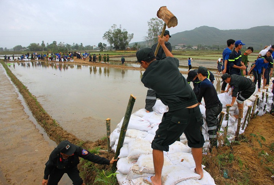Bình Định: Thanh niên xắn quần, lội ruộng giúp dân khắc phục hậu quả lũ - 4
Các lực lượng ĐVTN tỏa khắp các khu vực ruộng đồng bị ảnh hưởng sa bồi thủy phá để khắc phục nhằm đảm bảo cho nhân dân sản xuất lúa vụ Đông Xuân kịp thời.