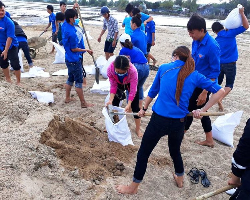 Bình Định: Thanh niên xắn quần, lội ruộng giúp dân khắc phục hậu quả lũ - 5
Các ĐVTN xắn quần lội ruộng giúp dân khắc phục sa bồi thủy phá sau lũ.