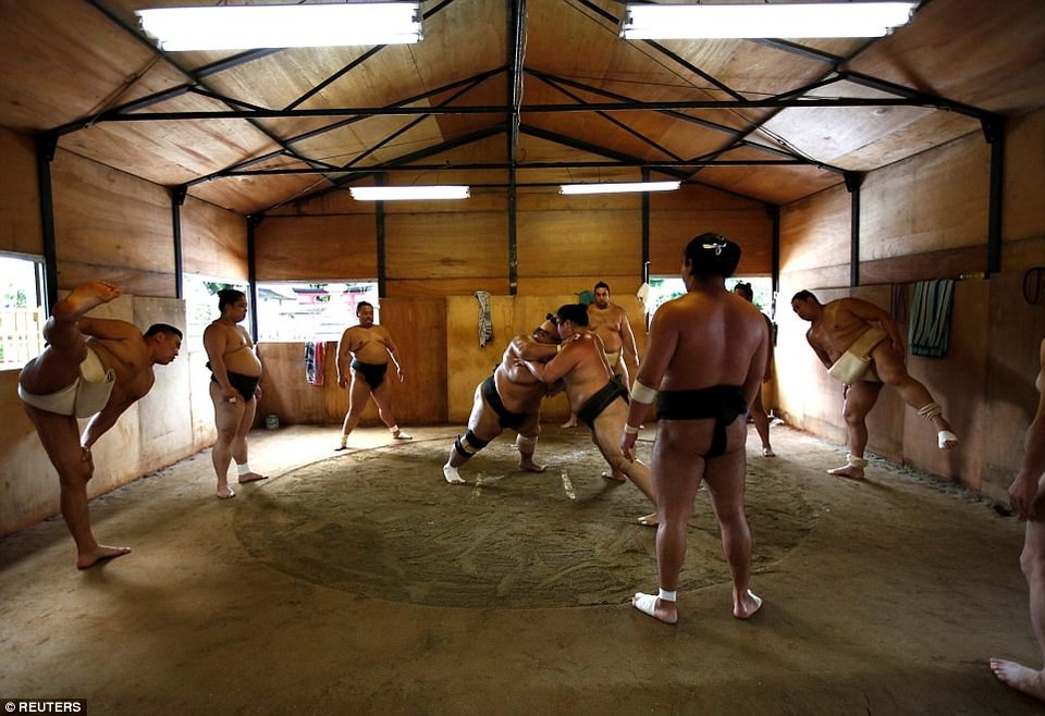 Vén màn bí mật về cuộc sống của những sumo Nhật Bản - 1
Cuộc sống của các đô vật sumo Nhật Bản gần đây đã được tiết lộ khi họ tham gia giải đấu Grand Sumo Tournament tại đền Ganjoji Yakushido, tỉnh Nagoya. Những đô vật, trong tiếng Nhật gọi là “rikishi”, dành hơn 3 giờ buổi sáng để luyện tập môn võ thuật cổ truyền của Nhật Bản có nguồn gốc từ thể kỷ 15. (Ảnh: Reuters)