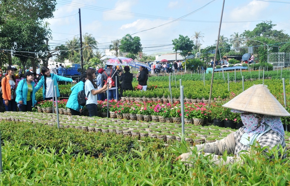 Các chủ vườn hoa vẫn cặm cụi chăm sóc hoa; các bạn trẻ thì tha hồ tự sướng với các nàng hoa đang rực rỡ khoe sắc